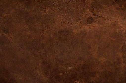 MYTHS Vs FACTS : LAMBSKIN LEATHER